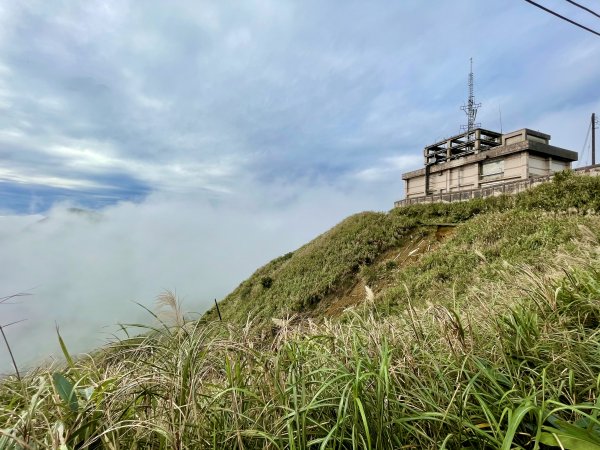 黃金十稜 龍洞稜 和美山登草山1220976