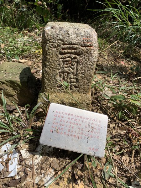 20250315屏東頭崙山-頭崙山西北峰2737214