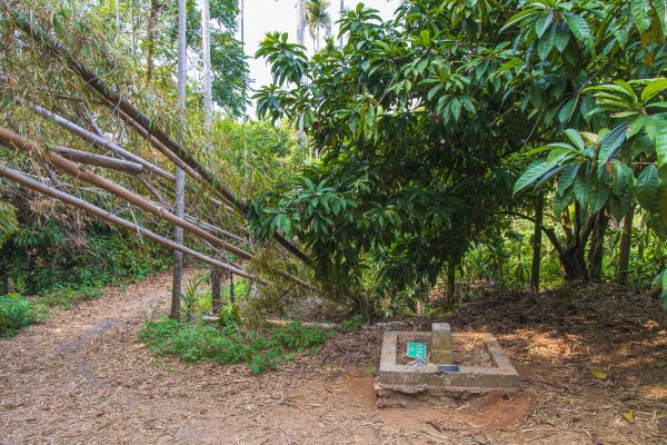 [嘉義]蘭潭水庫、紅毛埤山2757639