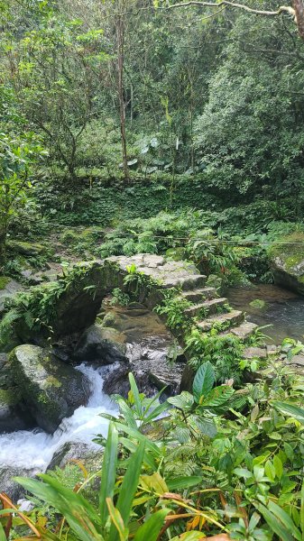 2026-0204 中坑古道_下坑古道O型3005560