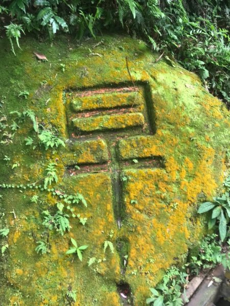 20190608新店獅頭山步道612424