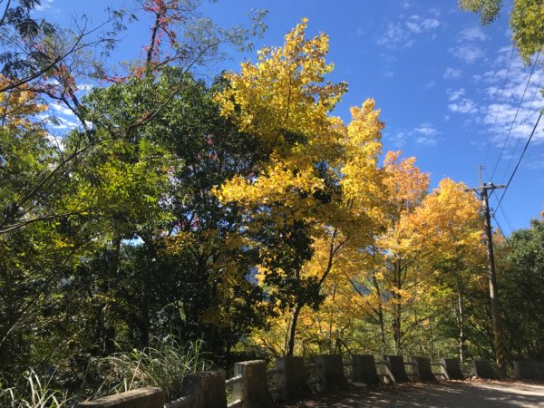 步道巡訪員 l 鎮西堡B區10月巡訪1144996