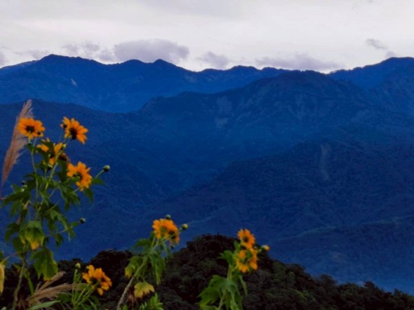馬那邦山（珠湖登山口）2933936