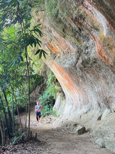 20250913_三峽鳶山爬山趣2882777