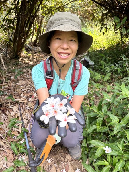 烏山縱走半程 (雲山寺~刣牛湖山) 來回 202504272773723