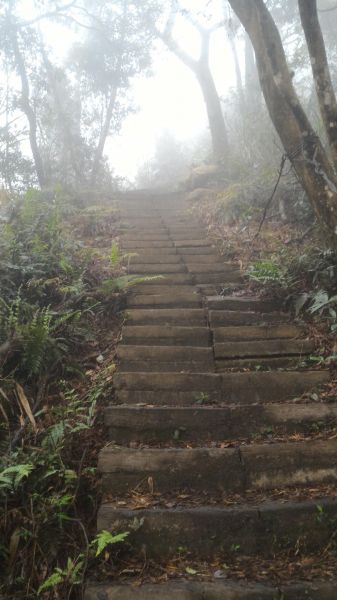 銅鑼雙峰山109076