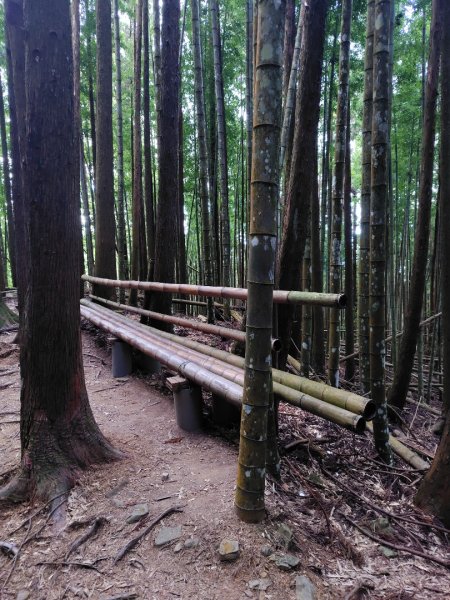 長壽山、肥崠山、醜崠山、大崠山、大崠山經建版2931536