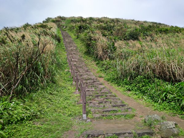 基隆山 金瓜石地質公園 報時山1056030