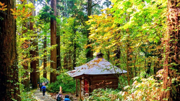 山形縣羽黑山神社2929699