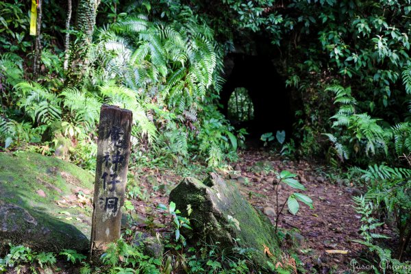 [新北]菁桐古道1569352