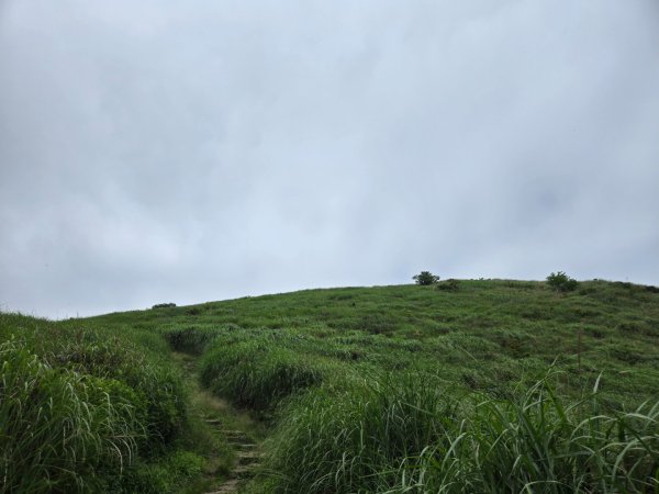 面天山、向天山