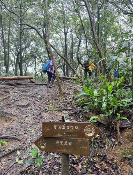 台北縱走第四段訪雙溪山 梅花山與西峰南峰西南峰 碧山3012836