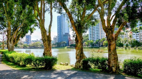 《蝶戀花。酸藤一生》2723362