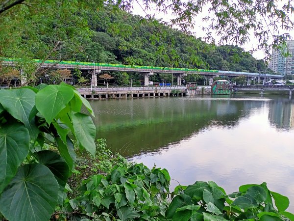 樂音悠揚的大湖公園【走路趣尋寶】1923809