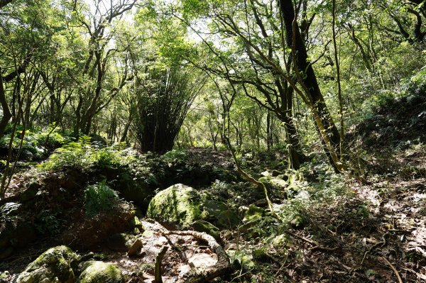 臺北 士林 香對山、頂山、杏林山、北五指山、高頂山、北頂山、馬蕃山、頂山溪山、五指山2703273