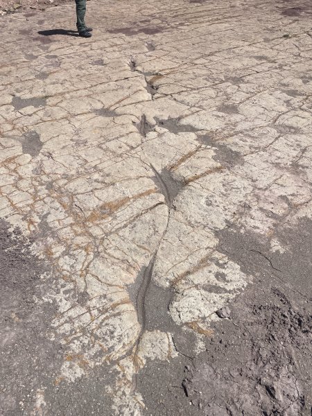 玻利維亞-Torotoro國家公園健行2968048