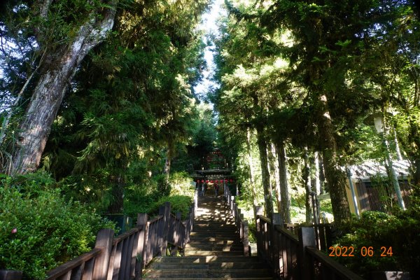 宜蘭 大同 太平山森林遊樂區1743634