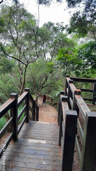 《台中》秋節秋虎｜大肚環保公園登山步道202310012301212