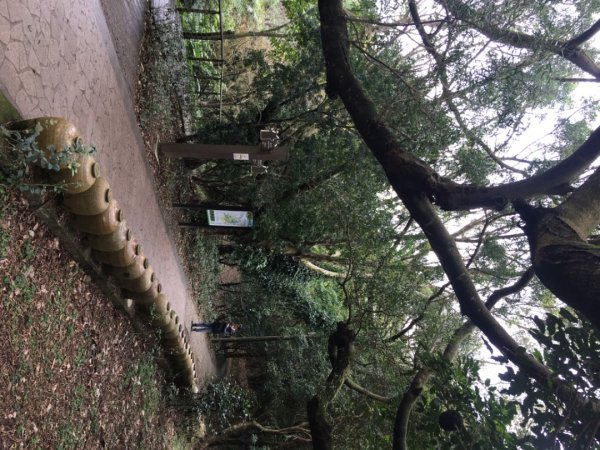 五酒桶山、南崁山2693354