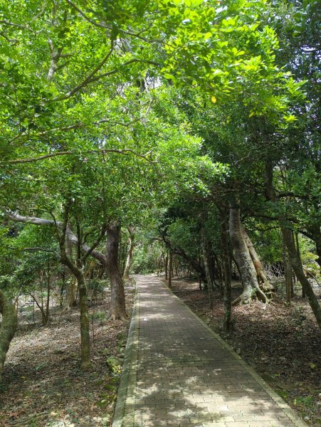 2024.06.09－墾丁國家公園2523837