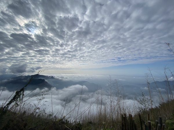 20250119二延平步道2716344