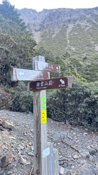 東埔-排雲-玉山西峰-玉山主峰2753211