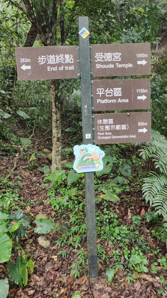 松柏嶺3044305