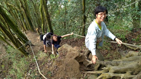 小百岳行～苗栗仙山(#33)（紅毛館山）1147818