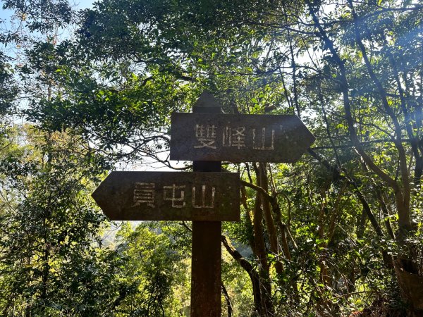 苗栗三義-三員縱走2616426