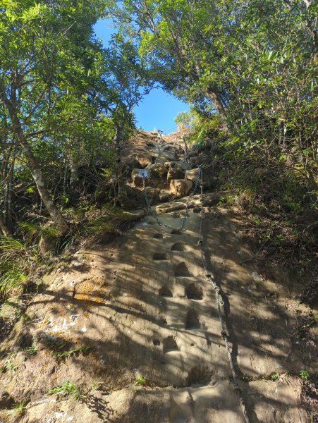 2025.10.10－微笑山線：【二格山系】皇帝殿稜線2919526