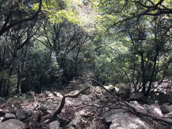 20161119_谷關七雄之四-波津加山873774