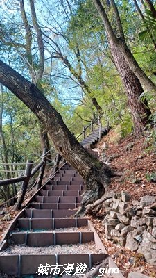 【台中和平】捎來步道x2025山谷燈光節2957991