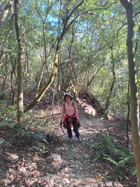 德文山(觀望山)202601052978644