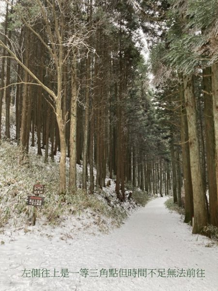 4 大阪金剛山全記錄2711092