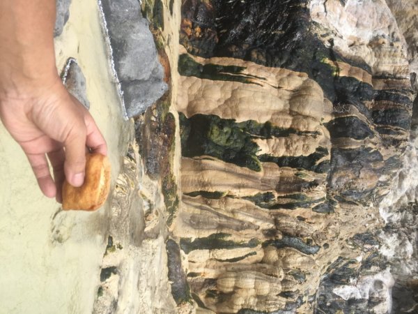 七坑溫泉、十坑溫泉、十三坑溫泉2006013