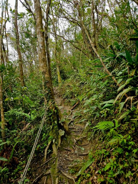 初音山-小百岳#88-花蓮縣吉安鄉2726098