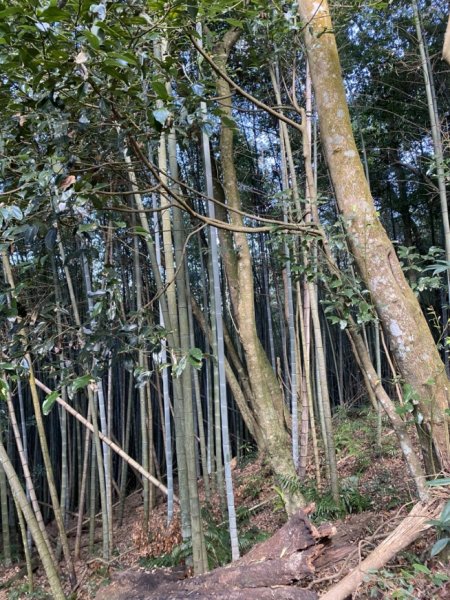 石壁山3066069