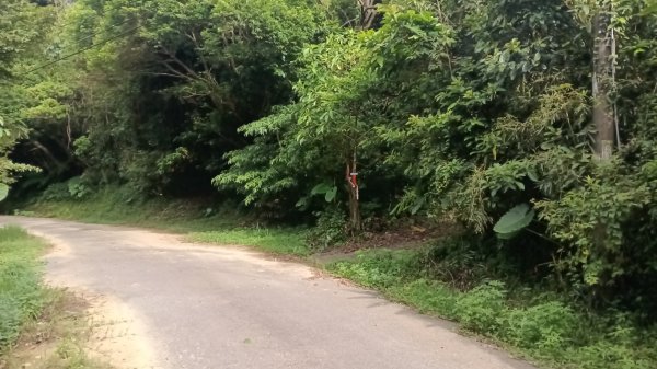 月眉洞步道-仙洞湖山未果3115484