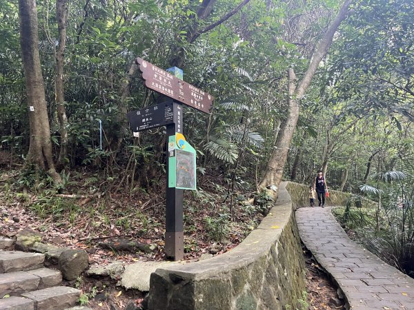 [阿龍尋寶任務]2023_0702_鯉魚山親山步道2273811