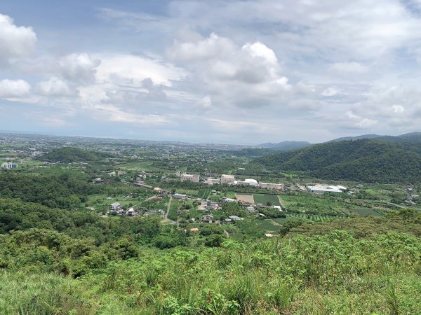 ~  中 山 茶 園 步 道  ~2580974