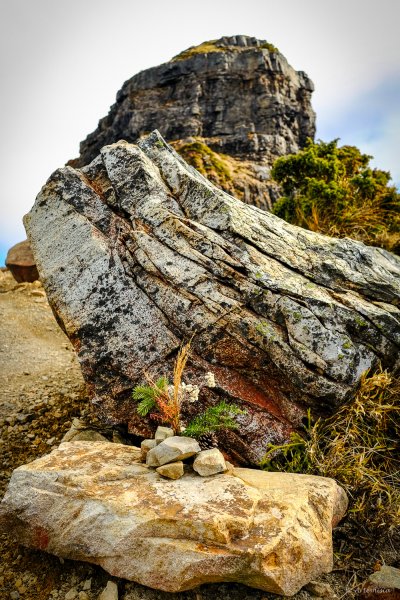 [冬訪大霸聖山岳參行]-榮耀桂冠B'bu' Papak聖稜精選輯2974816