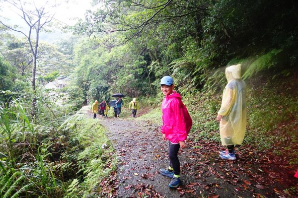 淡蘭古道中路O型988505