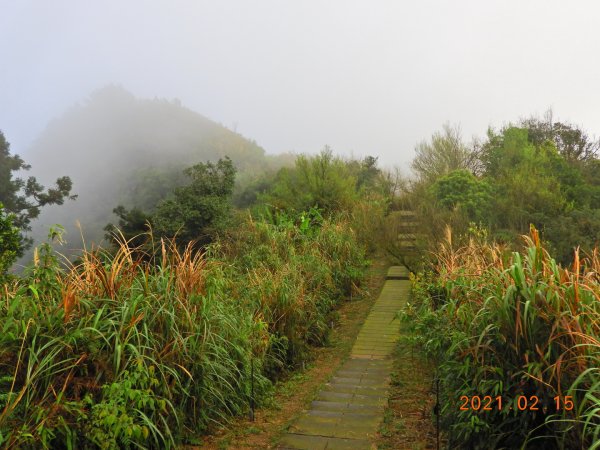 新北 瑞芳 五分山1272030