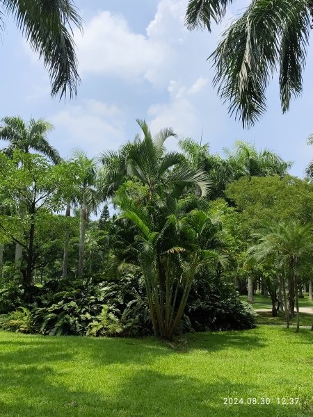 大安森林公園、大港墘公園【走路趣尋寶】【臺北健走趣】2584925