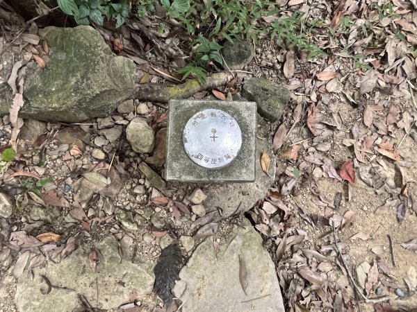 [微笑山線_第五段] 2025_0705 天上山系_南勢角山2830440