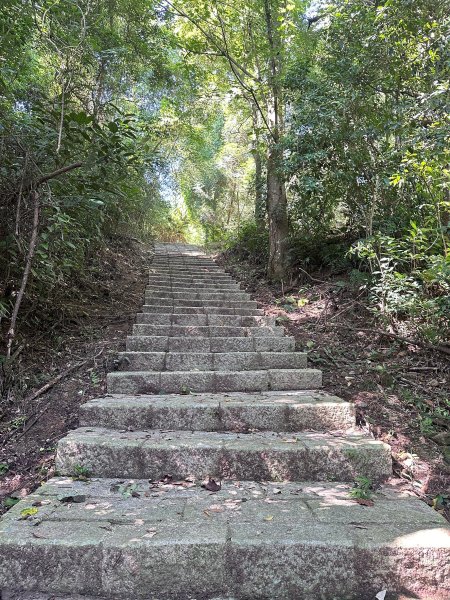 大分林山步道輕鬆走2558720