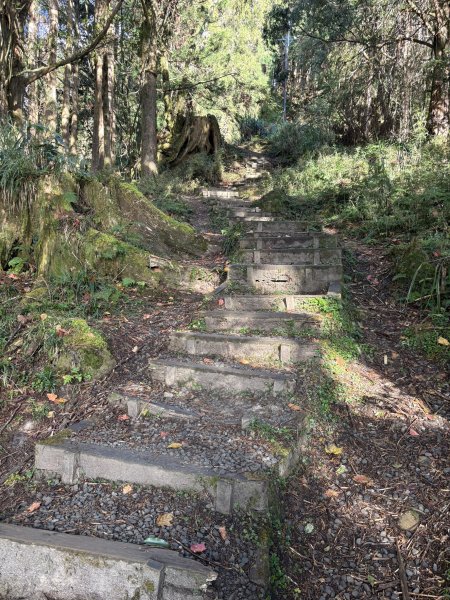 20251225塔山步道(大塔山)2970331