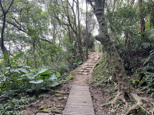 [微笑山線_第一段] 2025_0720 大棟山系_鎮遠山2843557