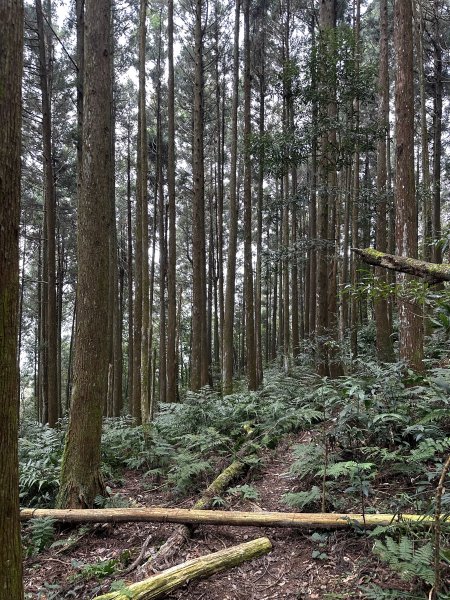 年輕人爬山趣～ 高島縱走 3/4 20232088614