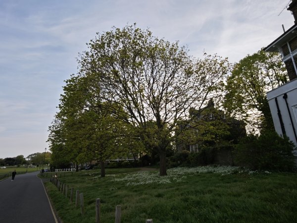 2025_0425 倫敦馬拉松順遊西歐 D7d(倫敦馬拉松起跑點)2793970